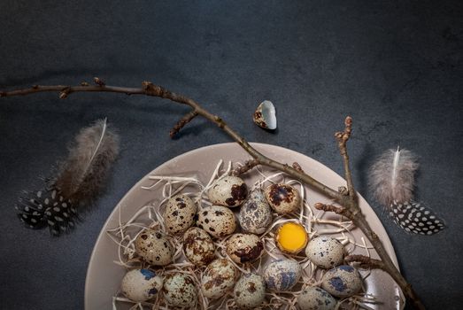 quail eggs in a plate on a dark background