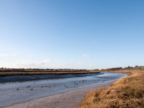 stream river landscape view blue water coast essex estuary with geese; essex; england; uk