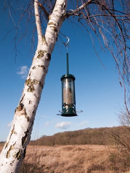 close up of green hanging bird feeder on tree filled with seed; essex; england; uk