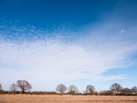 white streaked cloud blue sky over open golden grass plain outside nature; essex; england; uk