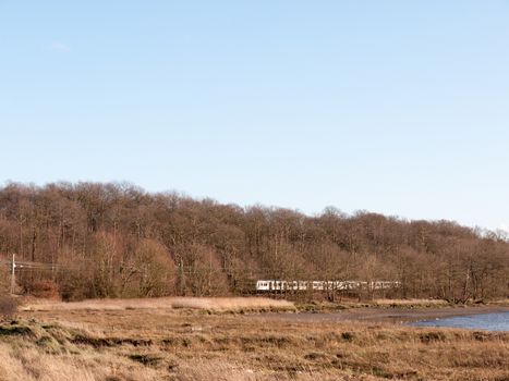 moving white train in the distance landscape nature trees; essex; england; uk