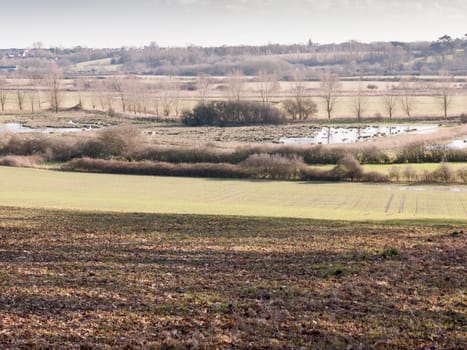 view of large valley with lake river and row of trees in the distance outside brown texture floor; essex; england; uk