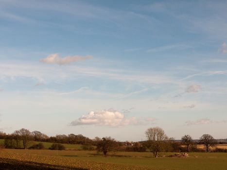 large open grass agriculture field outside blue cloudy sky; essex; england; uk