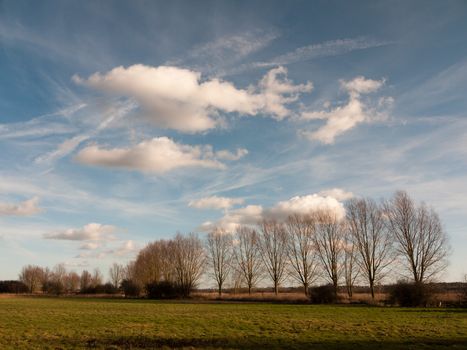 view of grass land plain row of trees with clouds in blue sky sunny; essex; england; uk