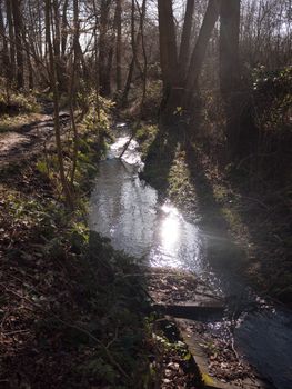 close up of running stream water through forest floor spring nature; essex; england; uk