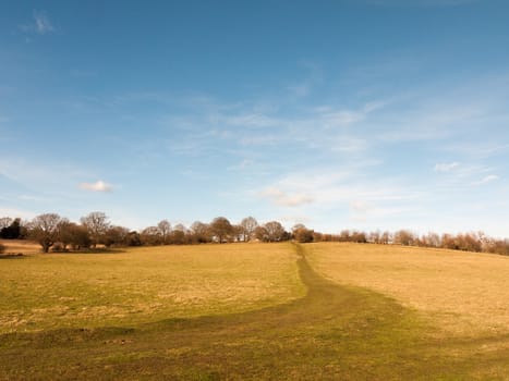 massive open plain farm field grass agriculture england blue sky ahead big empty path; essex; england; uk