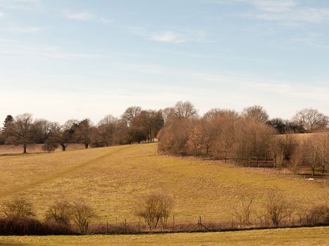 view of open green empty grass fields outside spring dedham vale landscape; essex; england; uk