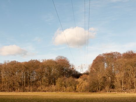 view of large electrical wire metal pylon outside in nature field wires overhead; essex; england; uk