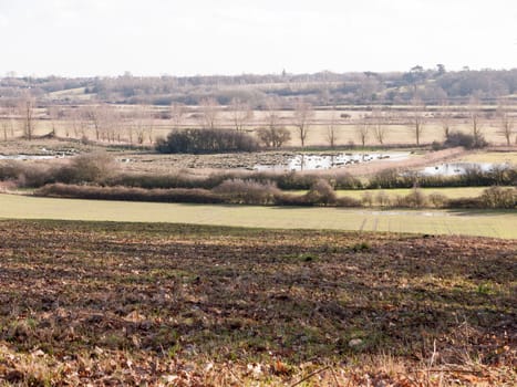 view of large valley with lake river and row of trees in the distance outside brown texture floor; essex; england; uk