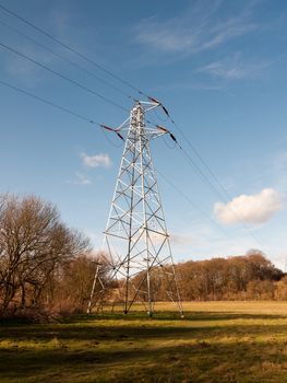 view of large electrical wire metal pylon outside in nature field; essex; england; uk