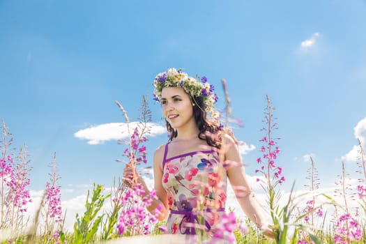 Portrait of the beautiful girl in the field in flowers