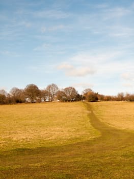 massive open plain farm field grass agriculture england blue sky ahead big empty path; essex; england; uk