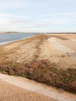 sandy beach texture dunes coast nature reserve plain background shingle; essex; england; uk