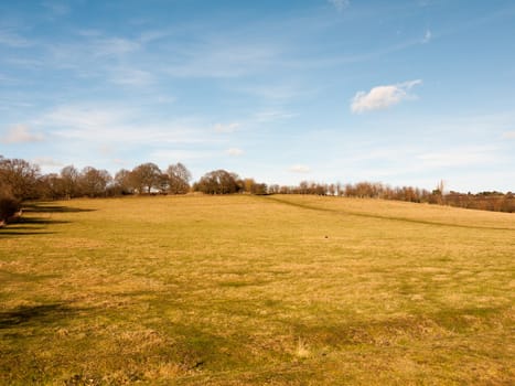 massive open plain farm field grass agriculture england blue sky ahead; essex; england; uk
