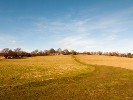 massive open plain farm field grass agriculture england blue sky ahead big empty path; essex; england; uk