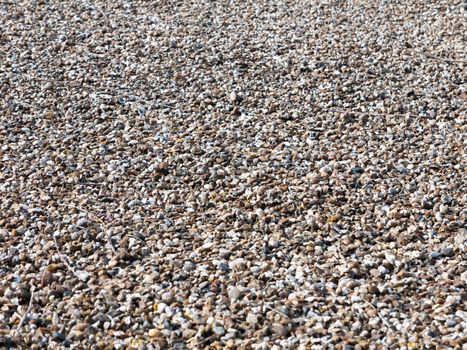background texture close up macro stones grey gravel; essex; england; uk