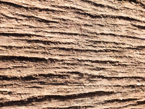 background close up view of cracked rough tree trunk bark texture; essex; england; uk