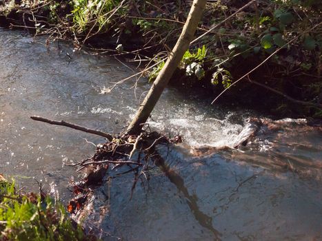 close up of running stream water through forest floor spring nature; essex; england; uk