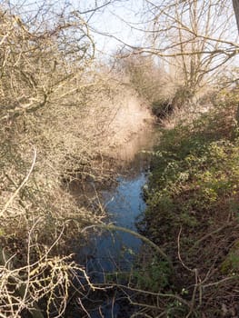 running stream through countryside below trees to side bare spring; essex; england; uk