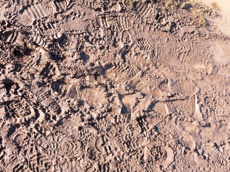 floor path texture background mud muddy dirt footprints; essex; england; uk