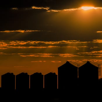 Agricultural silos, storage and drying for sunflower, soy, corn, wheat and grains.