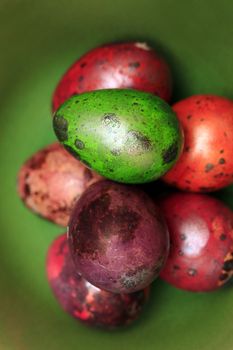 Colorful Speckled Easter Egg on Green Background
