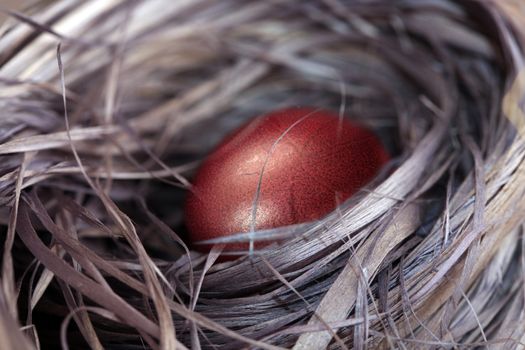 Red Easter egg in the hay