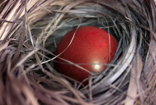 Red Easter egg in the hay