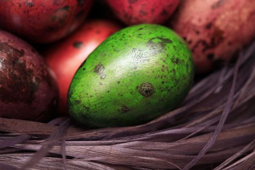 Red Easter egg in the hay