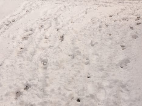 surface full view of snow on ground with footsteps texture winter; essex; england; uk