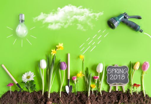 Spring flower bed garden with clouds, light bulb as the sun, and hose pipe with a sketch of water being sprayed