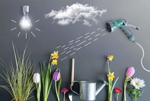Spring flower bed garden with clouds, light bulb as the sun, and hose pipe with a sketch of water being sprayed 