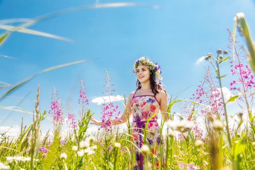 Portrait of the beautiful girl in the field in flowers