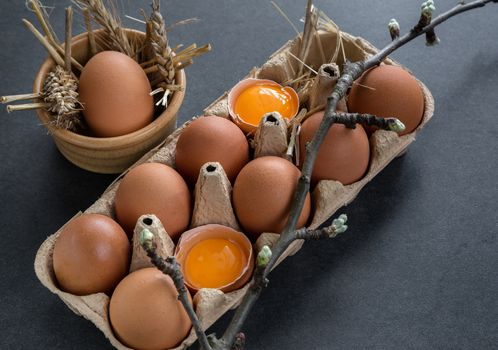 chicken eggs in a cardboard grate on a gray background