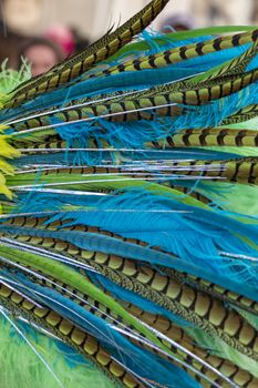 Close up of colorful feathers of a Carnival suit.