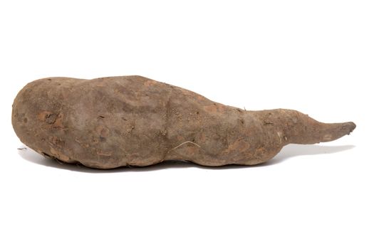 Close view of a sweet potato isolated on a white background