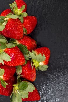 Red tasty strawberries on a black slab of schist.