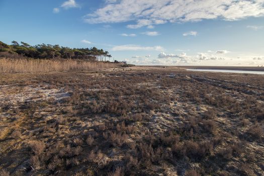 Typical low tide marshland landscape on the Algarve region, Portugal.