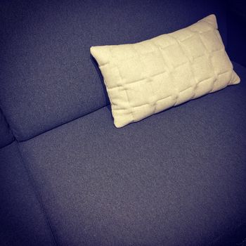 Dark purple sofa with white cushion. Comfortable furniture.