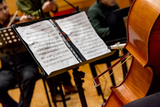 young woman plays cello