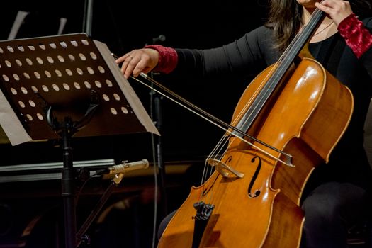 young woman plays cello