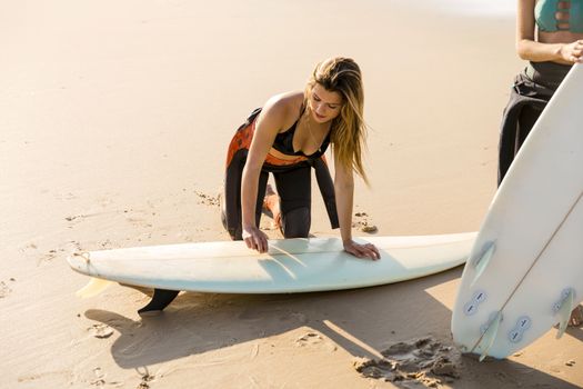 Two beautiful surfer girls at the beach getting ready for surfing