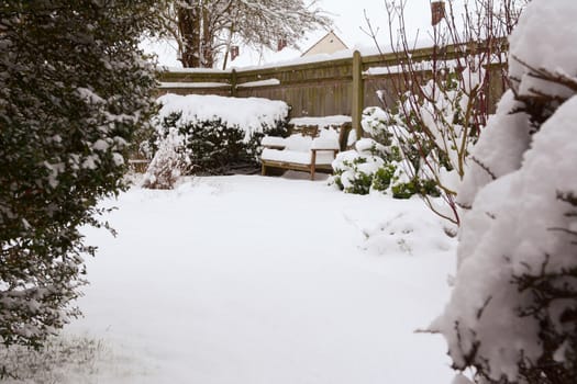 Mature shrubs and wooden bench in a rural garden covered with snow in winter