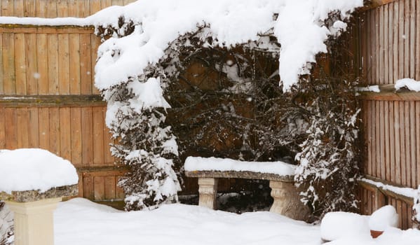 Stone bench covered in snow, surrounded by snowy cotoneaster hedge in a rural garden