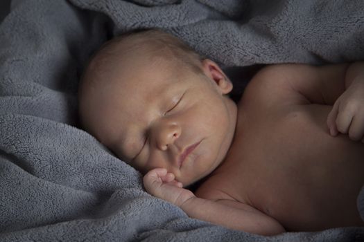 Cute boy sleeps. Newborn pictures have been taken in the studio.