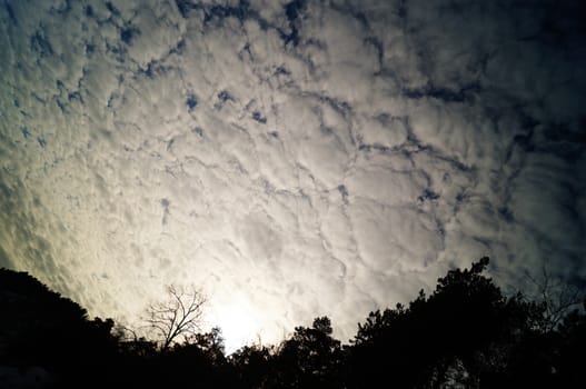 Sun, wood and clouds in wintertime