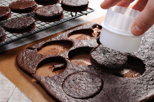 cut out with a circular shape delicate chocolate chip cookies