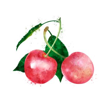 Cherry, isolated hand-painted illustration on a white background