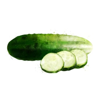 Cucumber, isolated illustration on a white background