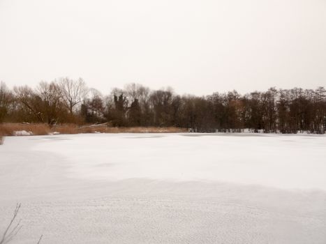 frozen over lake top surface water white snow winter bare trees; essex; england; uk